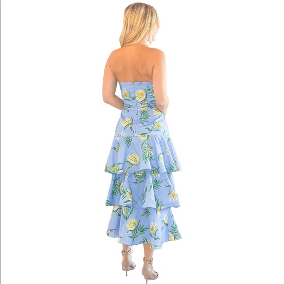 AMUR Roxy Dress - Picture 3 of 4